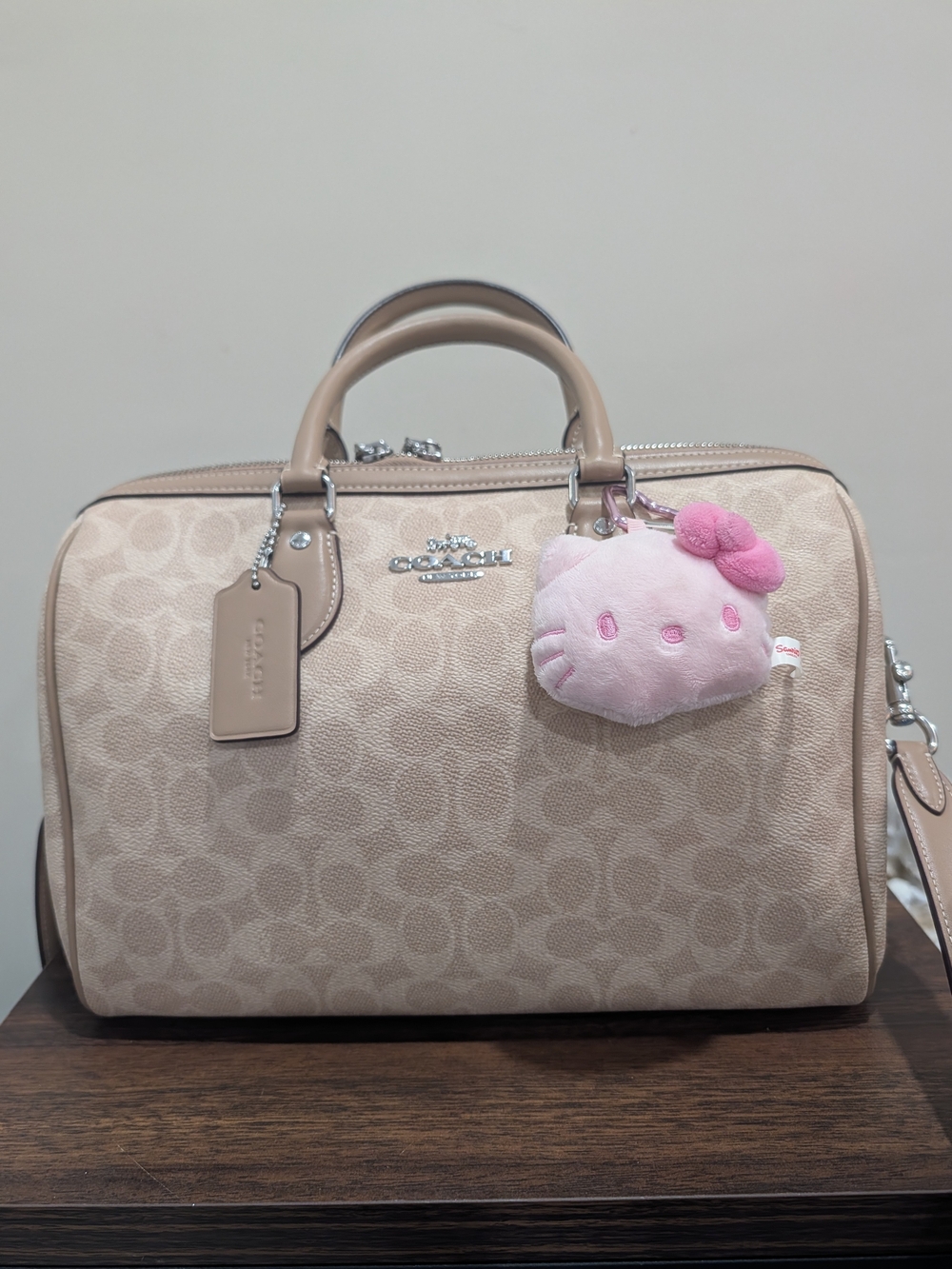 Coach Large Rowan Signature Canvas Bag CV959